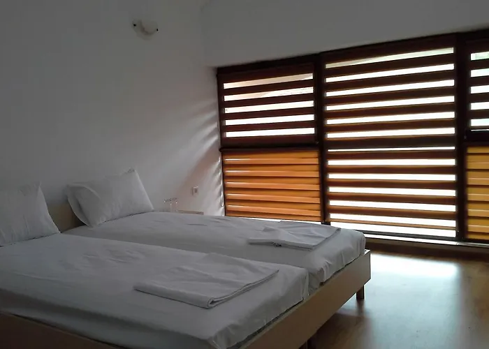 Hostel The White House *